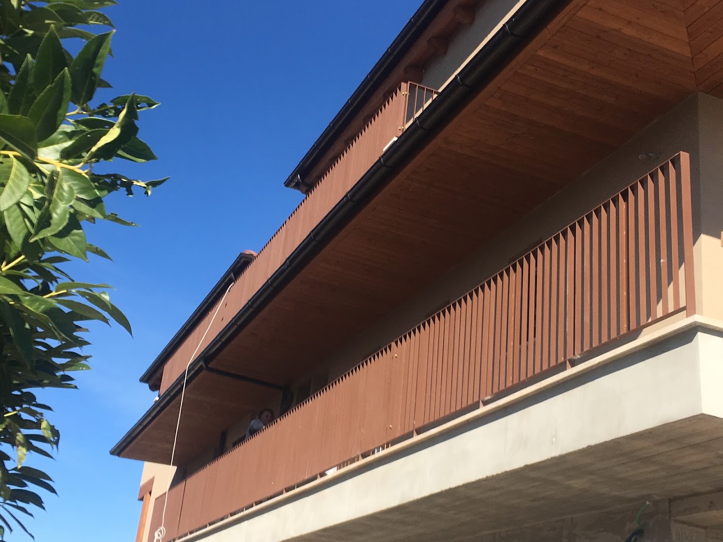 Ferrazzi Carlo — Foto 6